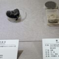 ジャコウ（麝香）・・六神丸に含まれる強心成分